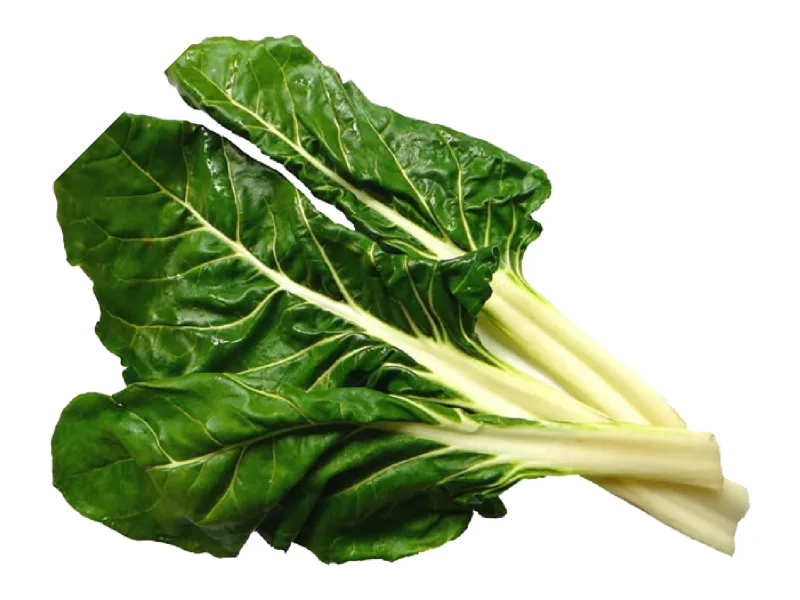 Acelga