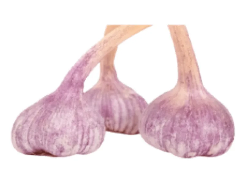Ajo nacional