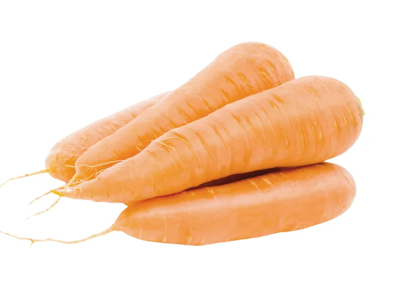 Zanahoria